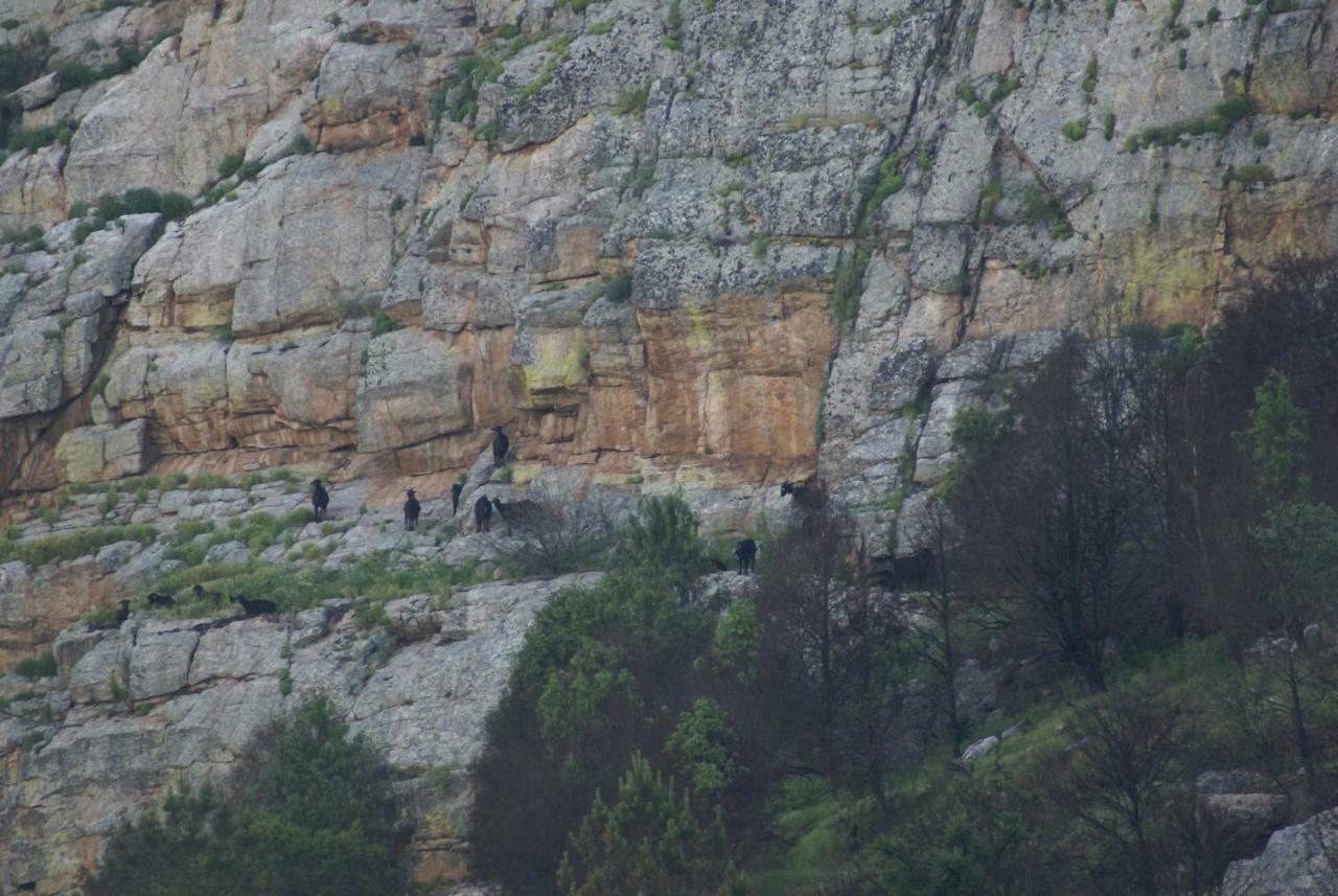 Monte Do Pego Villa Arneiro  Dış mekan fotoğraf