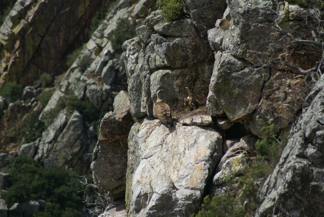 Monte Do Pego Villa Arneiro  Dış mekan fotoğraf