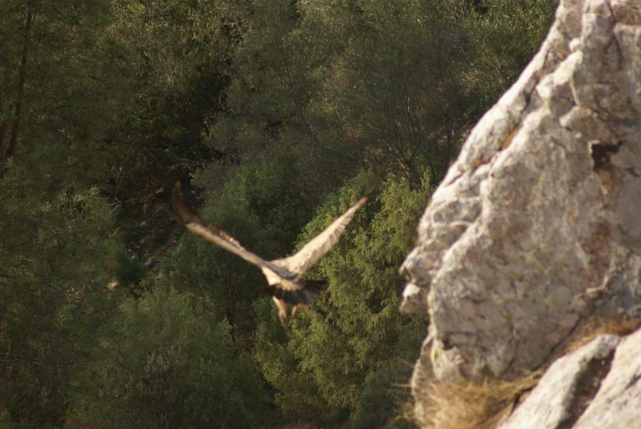 Monte Do Pego Villa Arneiro  Dış mekan fotoğraf